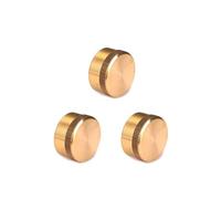 PAJPXPCD Accesorio de tubería de latón con tapa de protección hembra UNF de 1"-20 for tanque de gas propano