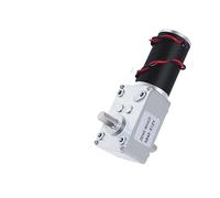 PAJPXPCD Arranque autoblocante de engranaje helicoidal de alto par 5840-31ZY con eje de salida bidireccional de 12 V y 16 RPM