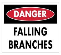 PAJPXPCD Beware Of Falling Tree Parts Metal Tin Sign 12x8 Inch