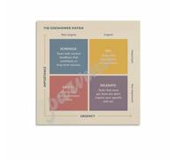 PAJPXPCD Decision Matrix Poster for Task Prioritization Canvas Wall-Art Print Effective Time Management Tool for Office or Home(Unframed,12x18inch(30x45cm))