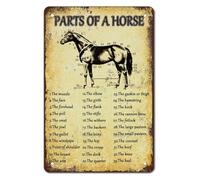 PAJPXPCD Educational Horse Anatomy Metal Sign Wall-Art for Barn Tack Room Veterinary Study Equestrian Gift Home Decor 8 X 12 inch