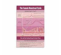 PAJPXPCD Reproductive System Hormones Chart Menstrual Cycle Biology Wall-Art Print for Classroom Study Room(Framed,12x18inch(30x45cm))