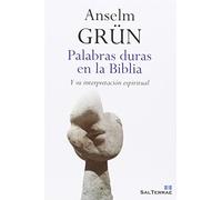 Palabras Duras En La Biblia: Y su interpretación espiritual: 352 (Espiritualidad)