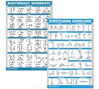 Palace Learning (46cm x 70cm, LAMINATED - QuickFit Bodyweight Workouts and Stretching Exercise Poster Set - Laminated 2 Chart Set - Body Weight Exercise Routine & Stretching Workouts