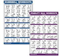 Palace Learning Juego de pósteres de entrenamiento con mancuernas y pelota de ejercicio, juego de 2 tablas laminadas, rutina de ejercicio con mancuernas y estabilidad/entrenamientos de pelota de yoga