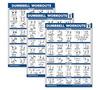 Palace Learning Paquete de 3 pósteres de entrenamiento con mancuernas para gimnasio en casa, volumen 1, 2 y 3, tablas de ejercicios (laminadas, 18 x 24 pulgadas)