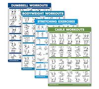 Palace Learning Paquete de 4 entrenamientos con mancuernas + ejercicios de peso corporal + ejercicios de estiramiento + entrenamientos con máquina de cable, juego de 4 tablas de entrenamiento