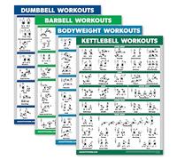 Palace Learning Paquete de 4 - Entrenamientos con mancuernas + entrenamientos de pesas + entrenamientos de peso corporal + pesas rusas, juego de 4 tablas de entrenamiento (18 x 24 pulgadas, laminadas)