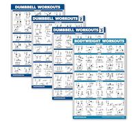 Palace Learning Paquete de 4 pósteres de entrenamiento con mancuernas de volumen 1, 2 y 3 + tabla de ejercicios de peso corporal, juego de 4 pósteres (laminados, 18 x 24 pulgadas)