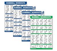 Palace Learning Paquete de 4 pósteres de entrenamiento con mancuernas de volumen 1, 2 y 3 + tabla de ejercicios de barra, juego de 4 pósteres (laminados, 18 x 24 pulgadas)