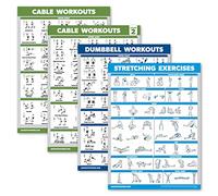 Palace Learning Paquete de 4 pósteres de entrenamiento con máquina de cable, volumen 1 y 2 + ejercicios de mancuernas + ejercicios de estiramiento (laminado, 18 x 24 pulgadas)