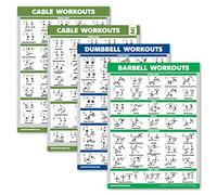 Palace Learning Paquete de 4 pósteres de entrenamiento con máquina de cable, volumen 1 y 2 + ejercicios con mancuernas + ejercicios de barra (laminado, 18 x 24 pulgadas)