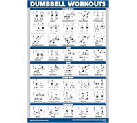 Palace Learning Póster de ejercicios de entrenamiento con mancuernas, laminado, guía de entrenamiento con pesas | Tabla de gimnasio en casa | Doble cara - 45,7 x 68,5 cm, 18" x 27", LAMINATED