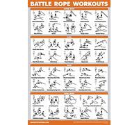 Palace Learning QuickFit - Póster de entrenamiento de cuerda de batalla, laminado, tabla de ejercicios ilustrada (laminado, 18 x 24 pulgadas)