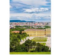 Palacio de Schönbrunn y pintoresco Jardín con parterres, Viena, Puzzle de 1000(70x50cm) piezas, juego, obra de arte y recuerdo turístico