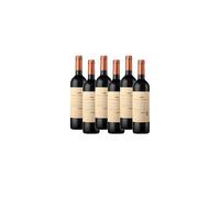 Palacio Quemado Reserva vino tinto premium selección gourmet - 6 Botellas x 75 cl