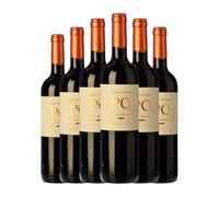 Palacio Quemado Vendimia Seleccionada Ribera del Guadiana 75 cl Vino tinto (Caja de 6 Botellas de 75 cl)