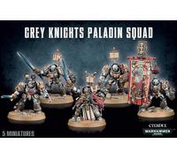 Paladines de los Caballeros Grises