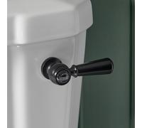 Palanca de Descarga de WC Tradicional - Color Negro - Elizabeth