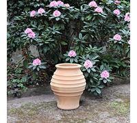 Palatina Werkstatt Áfora de terracota, 40 cm, 100% hecha a mano, ánfora resistente al invierno, para jardín y casa, agave, 40 cm