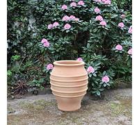 Palatina Werkstatt Exclusiva ánfora de terracota de agave de 50 cm - 100% hecha a mano, única - ánfora resistente al invierno para jardín y hogar