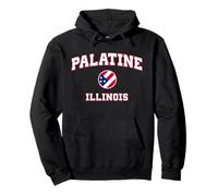 Palatine Illinois (Illinois) Sudadera con Capucha