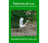 Palavras De Luz (ebook)