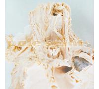 Pale Saints In Ribbons (Vinyl) (Importación USA)