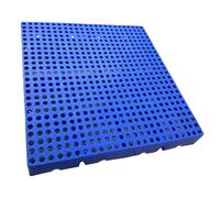 Palés encajables, Las PC plásticas azules de la plataforma 4 ventilaron tamaños múltiples Warehouse conservación en cámara frigorífica que entrelazaban(40x40x5cm)
