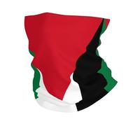 Palestine Flag1 - Diadema con estampado de bandera de Palestina para exteriores, tubo deportivo, bandana para el cuello, bufanda, cubierta facial para ciclismo y correr