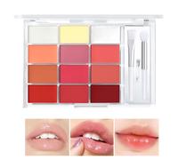 Paleta de brillo de labios para mujer, 12 colores, paleta de brillo de labios, paleta de colores hidratante, lápiz labial de maquillaje para mujeres y niñas