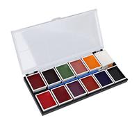 Paleta de pintura corporal de 12 colores, kit de pintura facial, pigmento de maquillaje brillante para cosplay con cepillo de cabeza plana y cepillo de cabeza puntiaguda, para