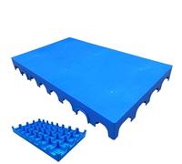 Palets Plastico, Palets Europeos, Material HDPE, Base para Elevar Artículos, Se Pueden Unir por Tamaño, 60×100×10 Cm