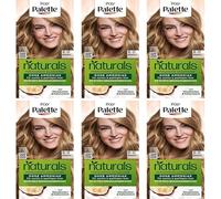 Palette Naturals Tinte permanente para el cabello 8-0, rubio claro, sin amoniaco, coloración para hasta 100% de cobertura de canas, fórmula vegana, 0% siliconas, 115 ml (paquete de 6)