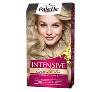 Palette Salon Colors Tinte Cabello Nº 8.1 Rubio Claro Ceniza // Precio, Comprar n/a 1 Unidad