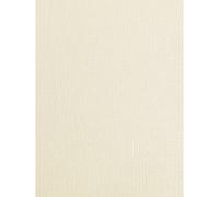 Pálido marfil lino tarjeta, textura tarjeta de A4 250 gsm x 10 hojas (a4 C2)