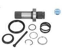 Palier, diferencial MEYLE 100 498 0250 para MULTIVAN T5 2 2011-2015