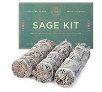 Palitos de salvia blanca hechos a mano de 4 pulgadas, varillas de salvia fresca y natural de California con instrucciones y bendiciones, varita de salvia para limpiar la casa, energía negativa y otros