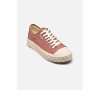 Palladium Palla Ace Cvs Org 36 Rosa