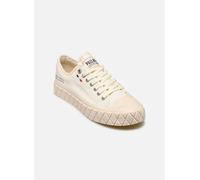Palladium Palla Ace Cvs Org 37 Blanco