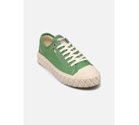 Palladium Palla Ace Cvs Org 39 Verde