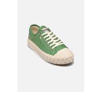 Palladium Palla Ace Cvs Org 40 Verde
