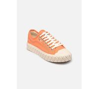 Palladium Palla Ace Cvs Org M 38 Naranja