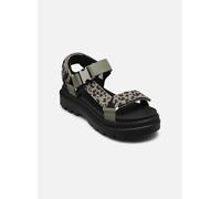 Palladium PALLACRUISE STRAP 41 Verde