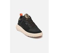Palladium Zapatillas PALLAFLEX LO MIX in Negro 43