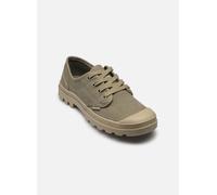 Palladium Pampa Oxford 41 Verde