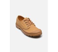 Palladium Pampa Oxford 43 Marrón
