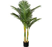 Palma Areca en maceta de plástico con tierra