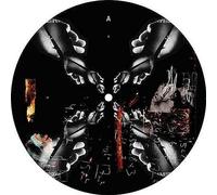 Palmer, Lilly - We Control [VINYL] [Vinilo]