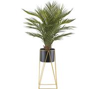 Palmera areca maceta de metal